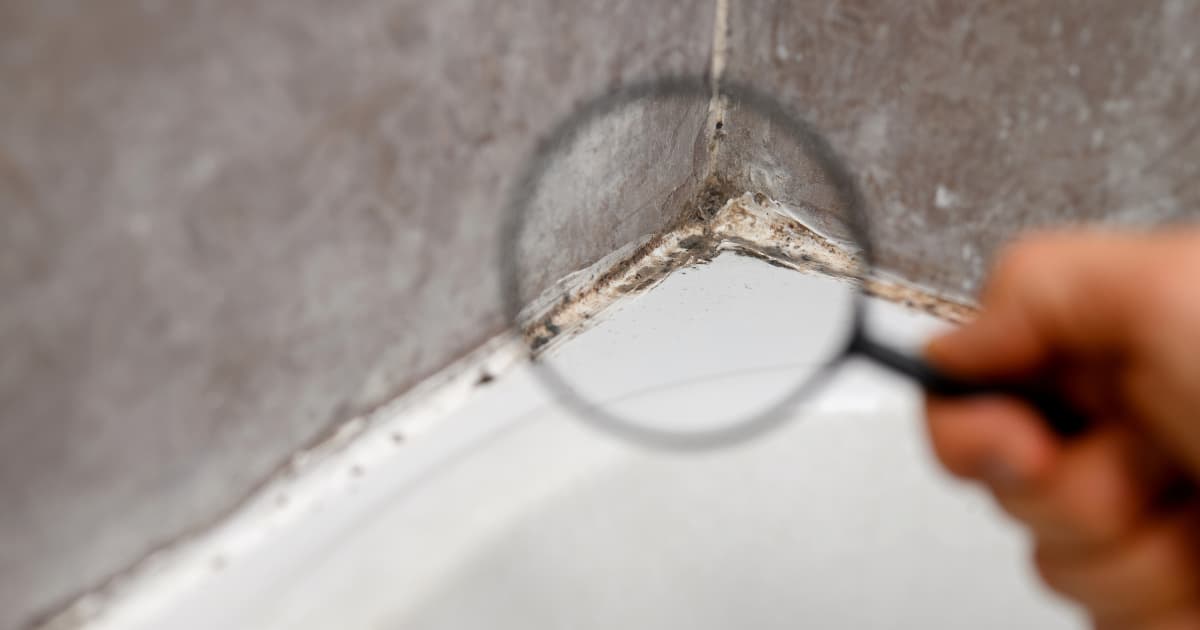Een hand houdt een vergrootglas bij de voeg tussen grijze badkamertegels en een witte douchebak, waar donkere schimmelvorming duidelijk zichtbaar is.