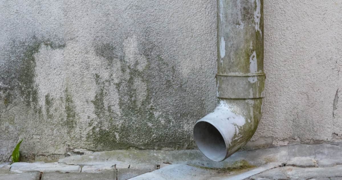 Een verweerde regenpijp loopt langs een buitenmuur met donkere vochtplekken en groene aanslag.