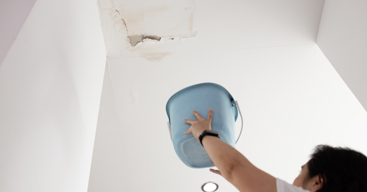 Een persoon vangt met een blauwe emmer druppels op die van het plafond vallen. De druppels zijn het gevolg van een lekkage.