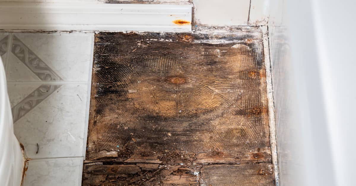 Een zwaar aangetaste houten vloer naast witte badkamertegels toont donkere verkleuring, houtrot en afbrokkelend materiaal als gevolg van langdurige vochtinwerking.