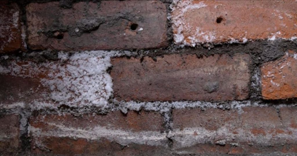 Er zit schimmel op buitenmuur door vochtproblemen.