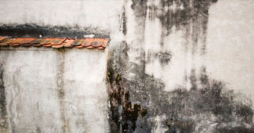 Er zit zwarte schimmel op een buitenmuur door vochtproblemen
