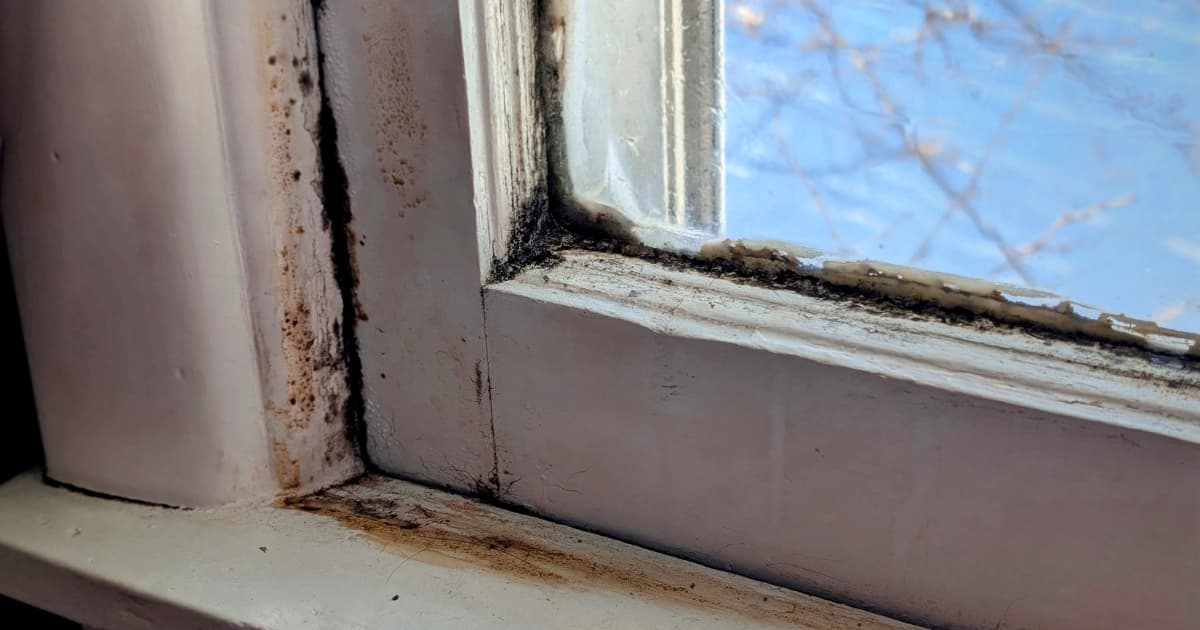 Wit geschilderd houten kozijn met zwarte schimmel in de hoeken en langs het glas, bruine vlekken op het hout en de vensterbank en afbladderende verf.