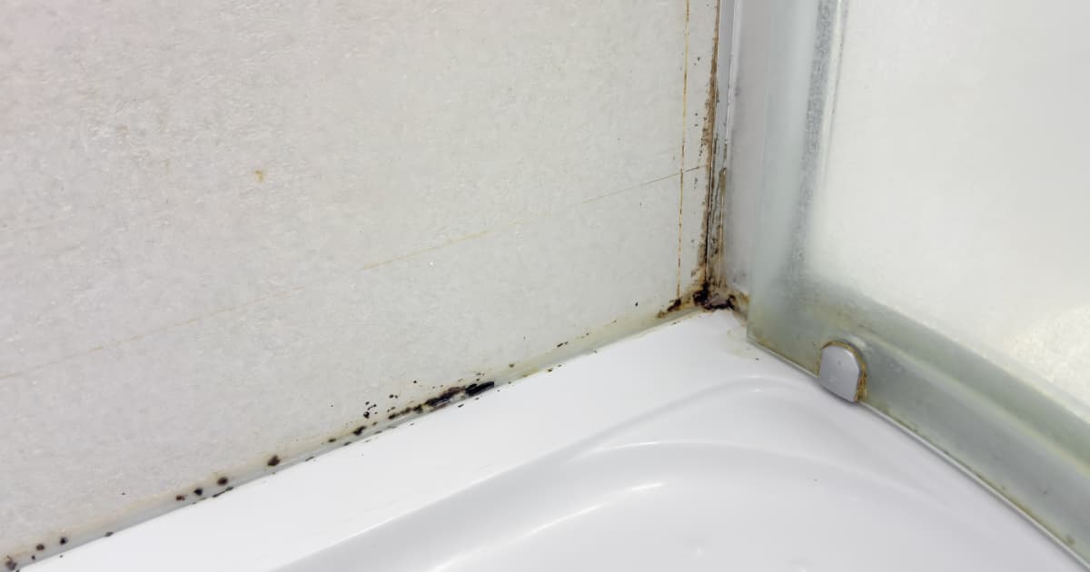 Zwarte schimmel zit in de kitrand tussen een witte douchebak en lichte wandtegels en kruipt omhoog in de hoek naast een matglazen douchewand.
